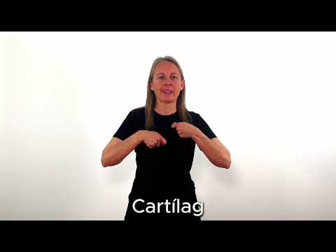 Cartílag - LSC