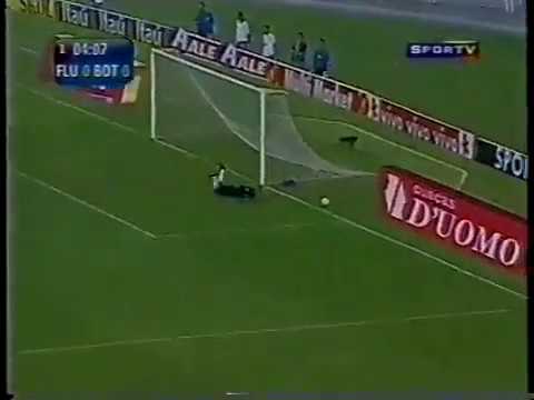 Fluminense 4 x 0 Botafogo - Campeonato Carioca 2005