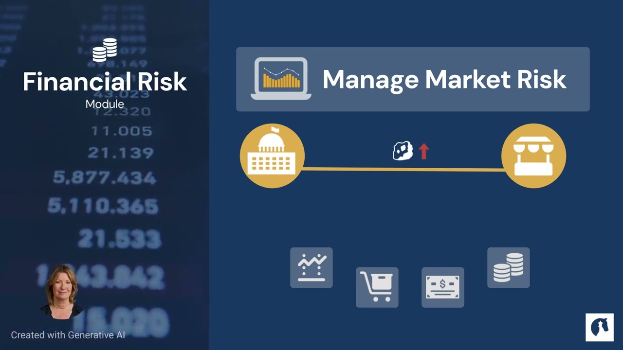 CARMEN Financial Risk