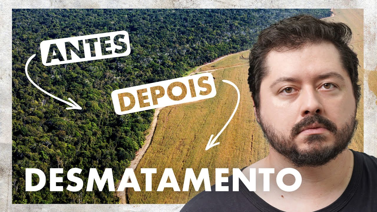 Desmatamento no Brasil