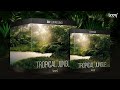 TROPICAL JUNGLE | 3D Surround | Trailer