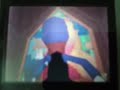 151st Star Found In Super Mario 64 DS