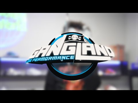 Yung Dappa - Live Performance 🎙