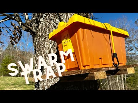 Swarm Trap|Catching Honeybees|ProNuc