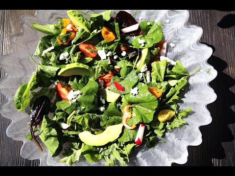 Malva Mallow Salad Recipe - Armenian Cuisine - Փիփերթ - Heghineh Cooking Show