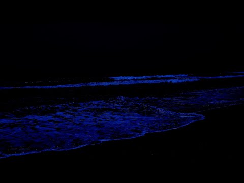 Oceano Rilassati and Ocean Paradise