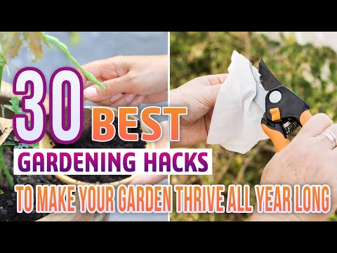 30 Best Gardening Hacks To Make Your Garden Thrive All Year Long