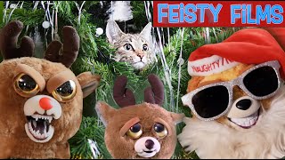 Feisty Pets Crash Christmas! Merry Mayhem Ensues