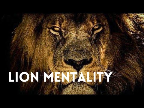 LION MENTALITY - Best Motivational Speech 2024