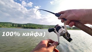 Ловля пикером карпа