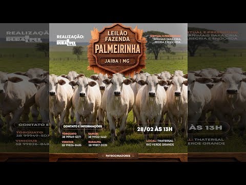 Leilão da Fazenda Palmeirinha - Jaíba/MG
