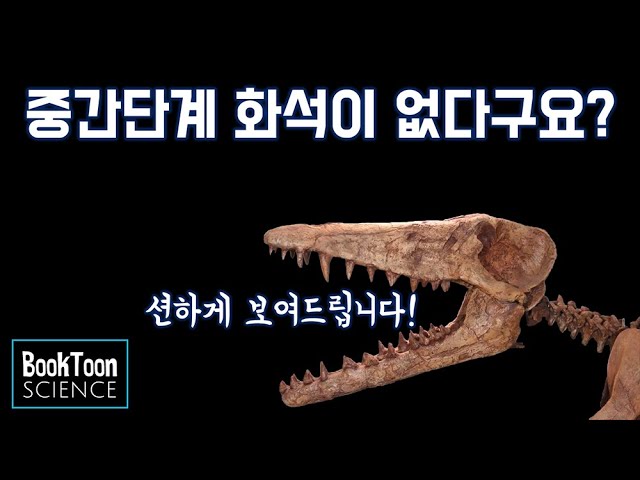 Video de pronunciación de 중간 en Coreano