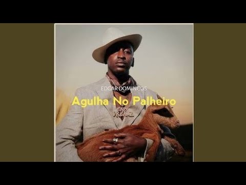 AGULHA NO PALHEIRO(letra)-EDGAR DOMINGOS