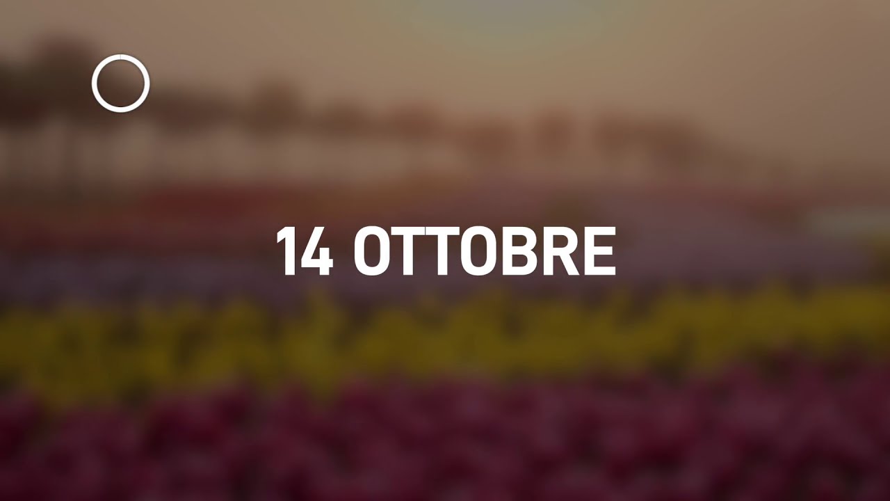 14 Ottobre 2024 | Meditazione Parole di Vita