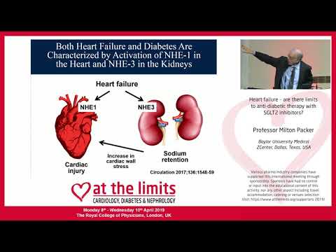 Professor Milton Packer - 'Heart failure – are there limits to anti-diabetic therapy with SGLT2'
