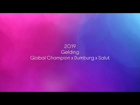 youtube preview
