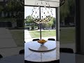 Look Inside This Fabulous House Billionaire LUXURY Lifestyle Motivation WhatsApp Shorts