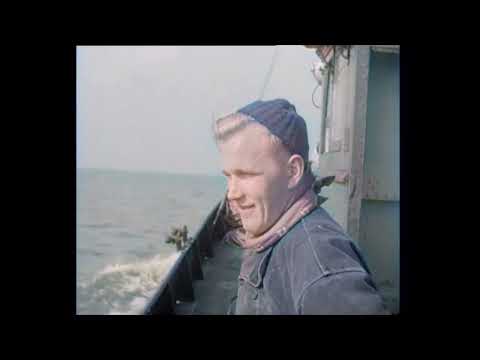 Dutch History: Urker Days in Enkhuizen (1949)