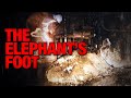 The Elephant S Foot Corpse Of Chernobyl