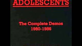 Growing Up Today- The Adolescents