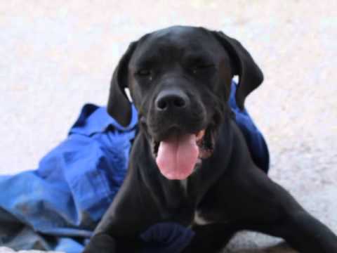 Raisa talking to mum (who has a food bowl in front of her for her)