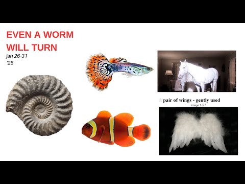 even a worm will turn