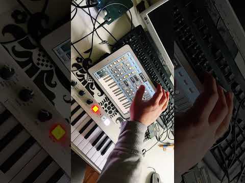 Sunrizer Synth & Po 12 Rhythm Jam #synth #synthesizer