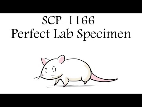 Oversimplified SCP - Chapter 80 "SCP-1166 Perfect Lab Specimen"