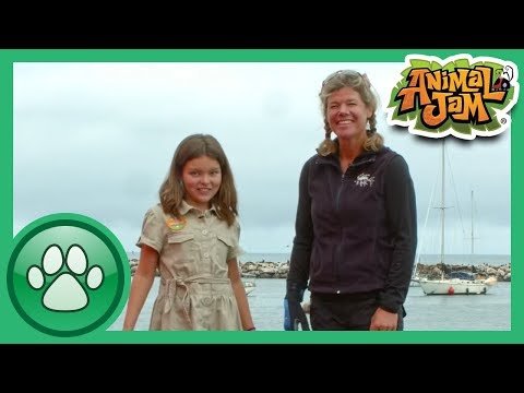 Wild Explorers - Exploring with Tierney!