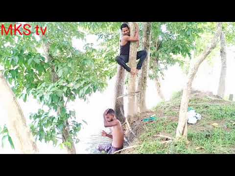 New comedy video mks tv