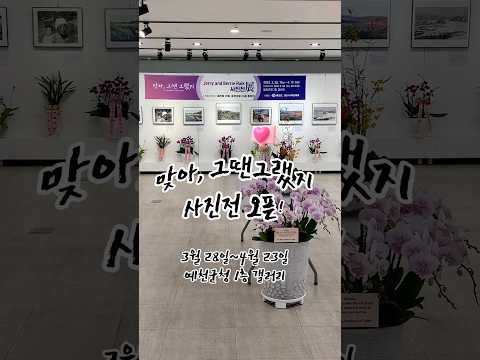심금을 울리는 사진전 #shorts