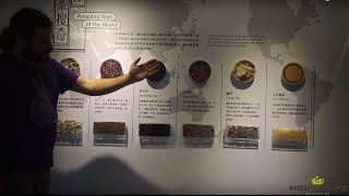 Тайвань. Пинлинь, Музей Чая.