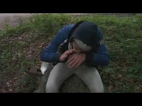 De geschiedenis van mijn kaalheid (Vervolg)