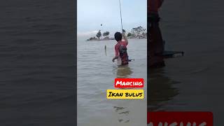 Download lagu Mancing Ngarung #shorts mp3 Download lagu Mancing Ngarung #shorts mp3