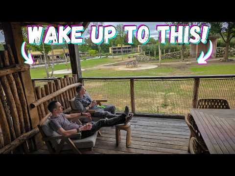 Savannah View from our Hotel Room | Beekse Bergen Safari Hotel Savanne Room