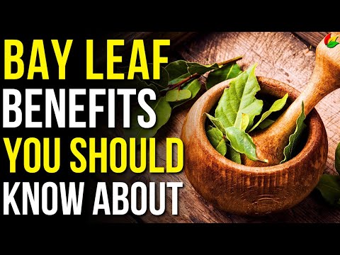 6 Amazing Benefits of Bay Leaf! | What Do Bay Leaves do to Your Body?