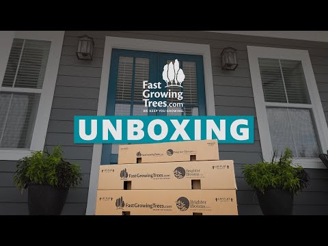 急速に成長する木を開梱する | FastGrowingTrees.com
