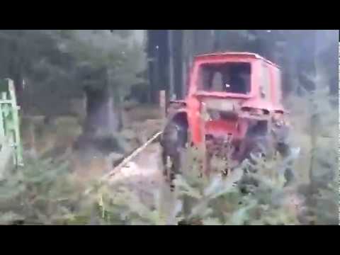 Kurwa mówiłem nie szarp