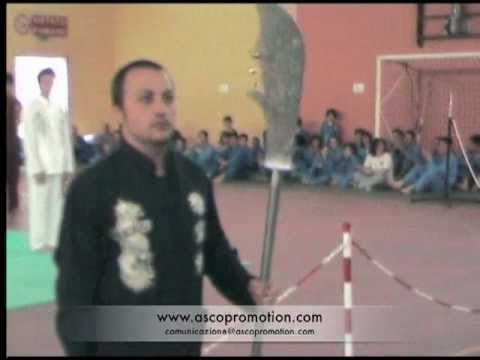 A.S.Co. Promotion - Vovinam Việt Võ Ðạo - Esibizione Cinture Nere Renate 06/06/2010