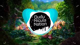 Ballpoint - Paycheck Bass Boosted