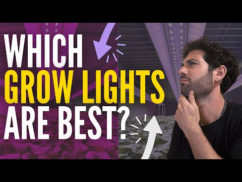 The Surprising Differences Between White and Purple LED Grow Lights For Microgreens