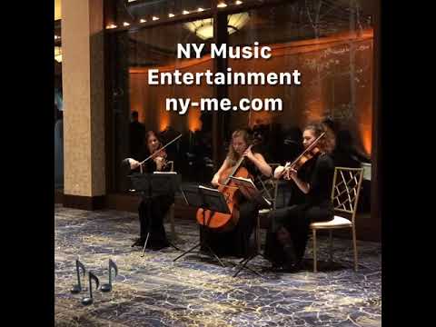 Promotional video thumbnail 16 for NY Music Entertainment