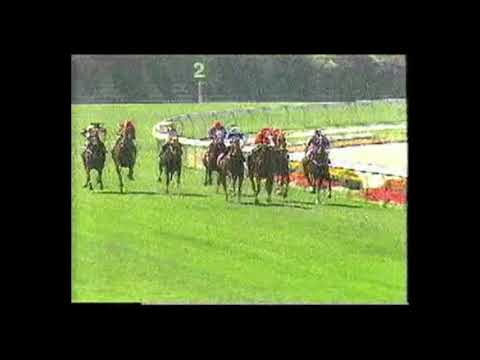 1988 Stanley Wootton Stakes - Special