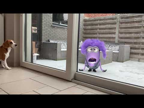 Top 50 Purple Minions vs Dogs in Real Life Animations