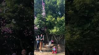 Aaron and Joanna Gender Reveal