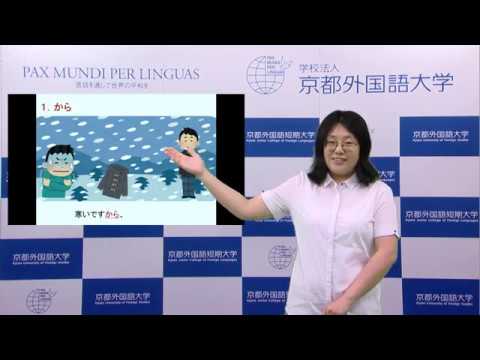 ビデオで学ぶ日本語文法：6 理由を表す表現