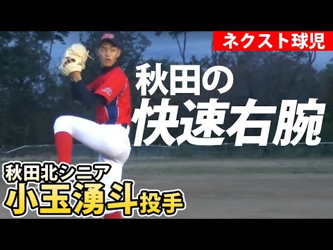 youtube動画