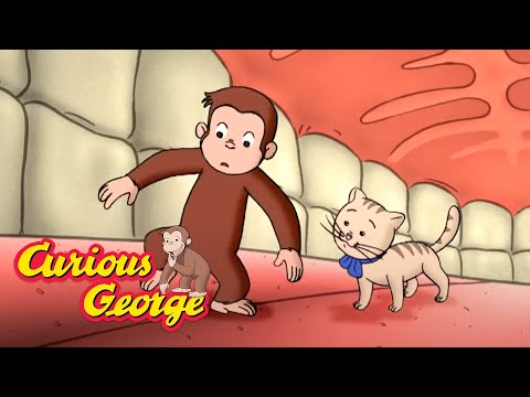 George Learns About Germs __ Curious George __ Kids Cartoons __ Videos for Kids
