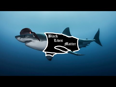 Unterwasser HAIshunger / Spannendes Hörbuch