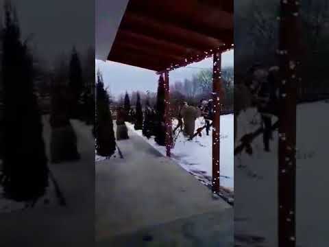 Ursul De la Brusturi ! 2021